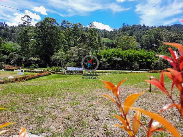 #3806 - Terreno para Venta en Rionegro - ANT - 1