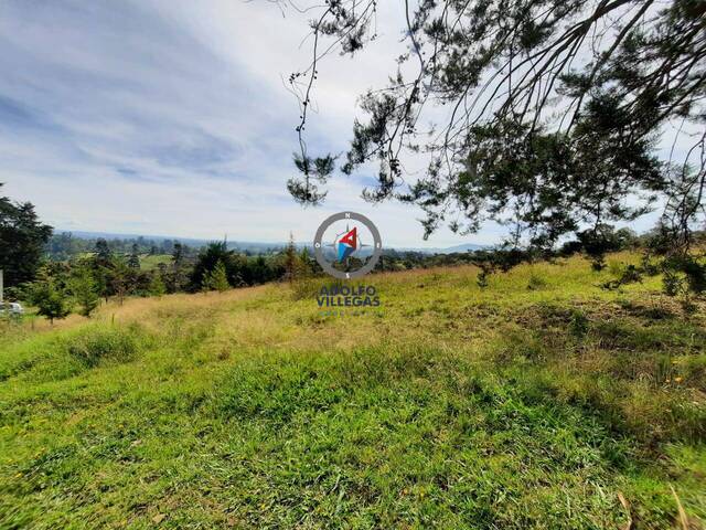 Terreno para Venta en Rionegro - 2