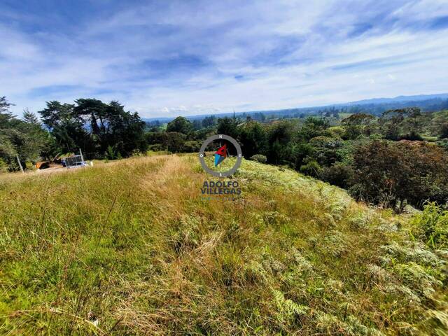 Terreno para Venta en Rionegro - 3
