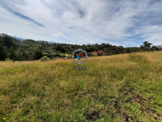 Terreno para Venta en Rionegro - 4