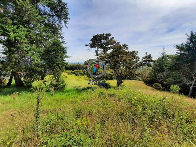 Terreno para Venta en Rionegro - 3