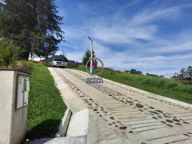 Terreno para Venta en Rionegro - 4