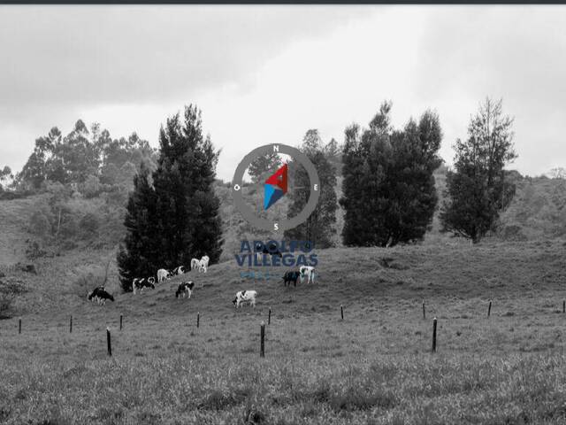 Terreno para Venta en Rionegro - 4