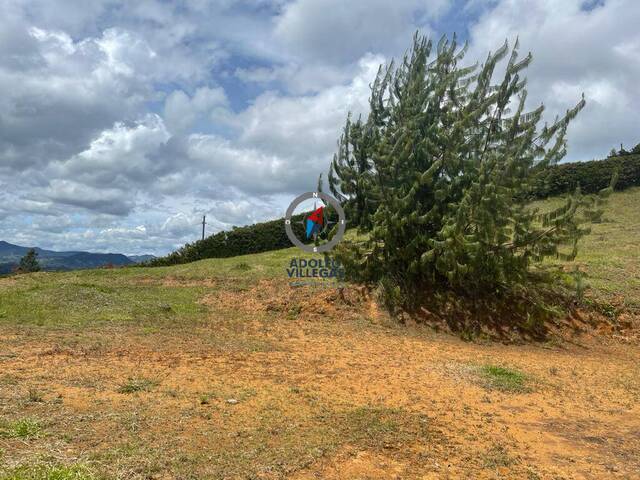 Terreno para Venta en Envigado - 4