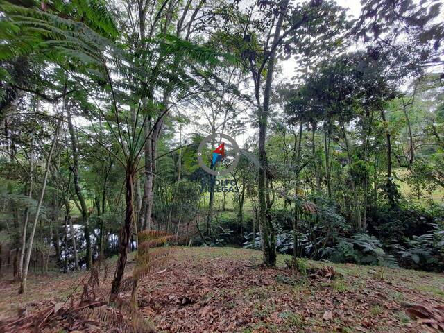 Terreno para Venta en Rionegro - 5