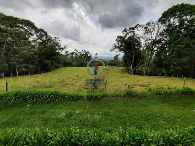 Terreno para Venta en Rionegro - 4