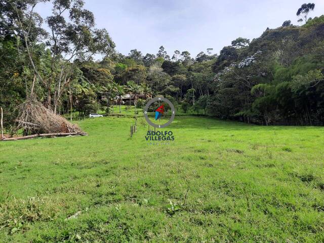 Terreno para Venta en Rionegro - 5