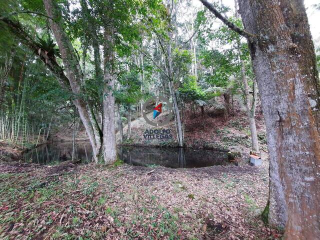 Terreno para Venta en Rionegro - 4