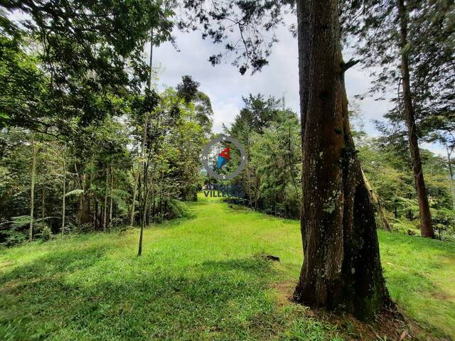 Terreno para Venta en Rionegro - 5