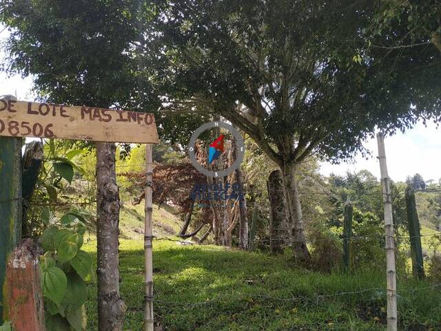 Terreno para Venta en Peñol - 5