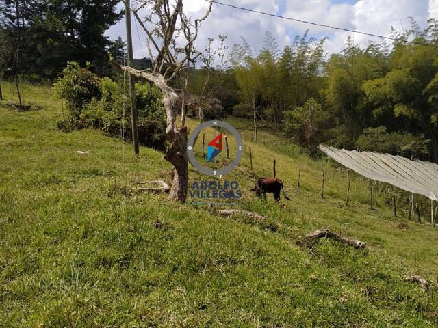Terreno para Venta en Peñol - 4