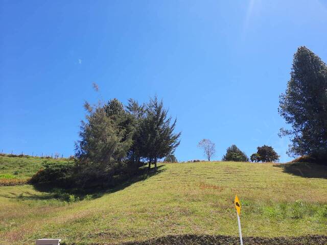 Terreno para Venta en Rionegro - 2