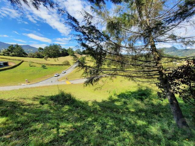 Terreno para Venta en Rionegro - 4
