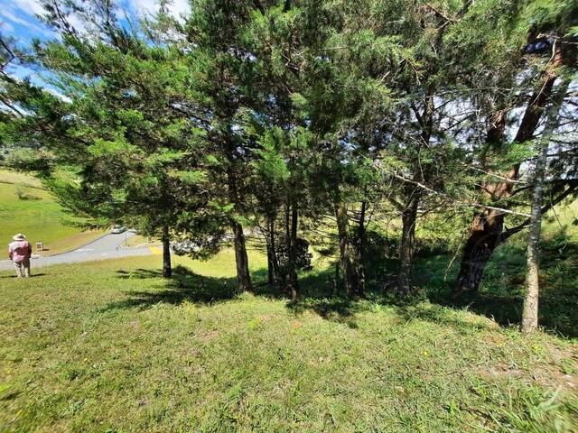 Terreno para Venta en Rionegro - 5