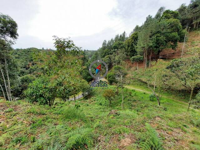 Terreno para Venta en Retiro - 5