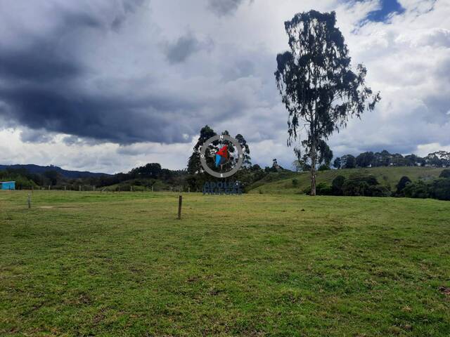 Terreno para Venta en Rionegro - 3
