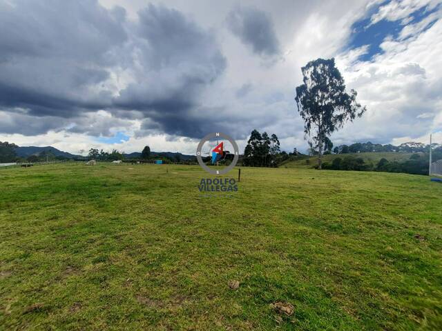 Terreno para Venta en Rionegro - 4