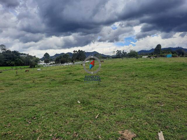 Terreno para Venta en Rionegro - 5