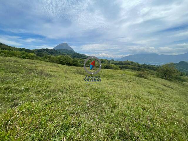 Terreno para Venta en Venecia - 4