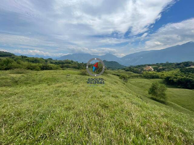 Terreno para Venta en Venecia - 5