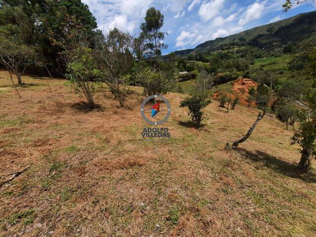 #3869 - Terreno para Venta en Guarne - ANT - 1