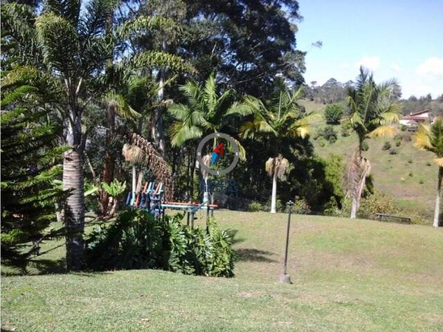 Terreno para Venta en Carmen de Viboral - 2