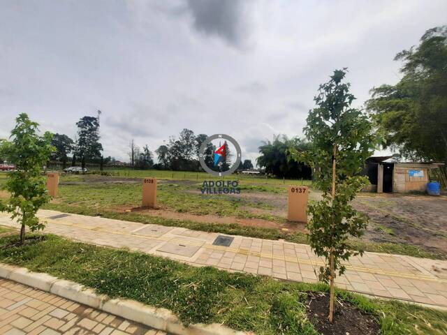 Terreno para Venta en Rionegro - 4