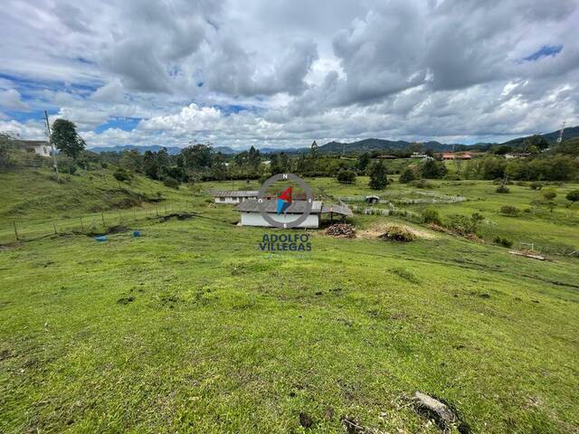 Terreno para Venta en Rionegro - 5