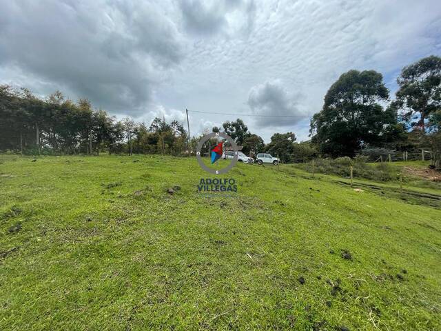 Terreno para Venta en Rionegro - 4