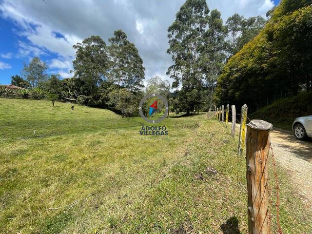 #3901 - Terreno para Venta en Rionegro - ANT - 2