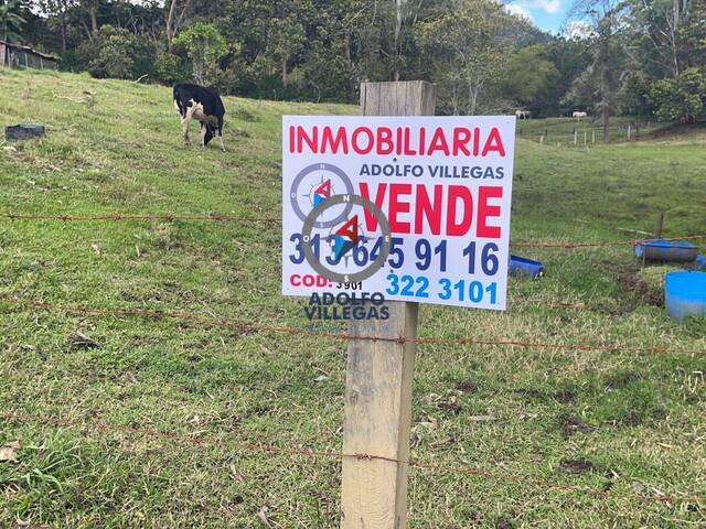 Terreno para Venta en Rionegro - 5