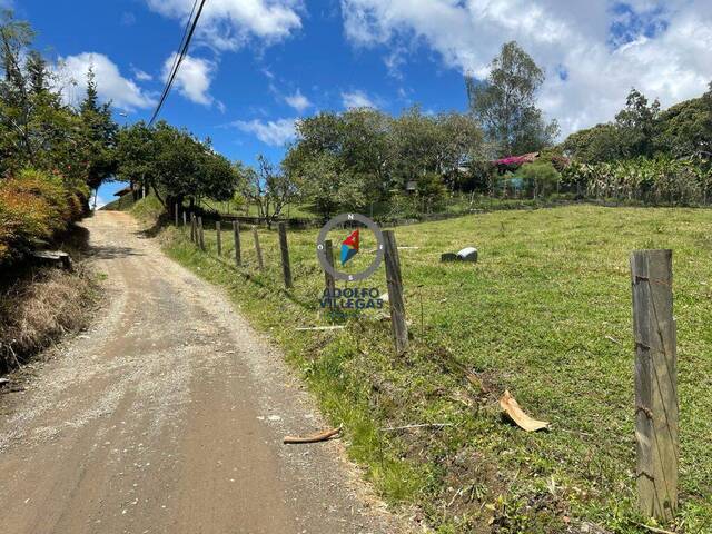 #3901 - Terreno para Venta en Rionegro - ANT - 3