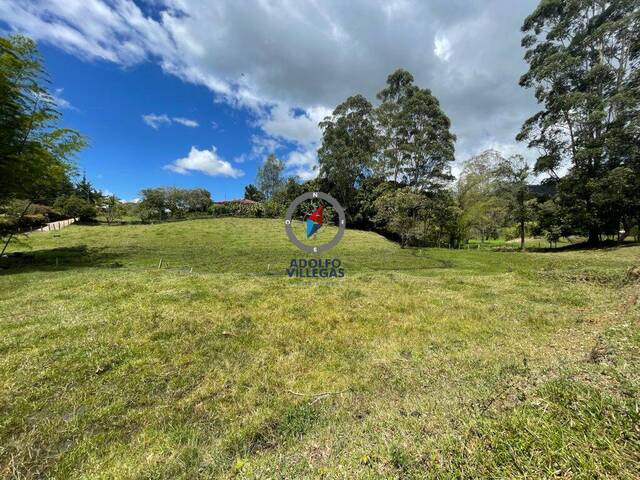 Terreno para Venta en Rionegro - 4