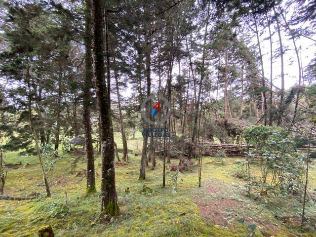 Terreno para Venta en Envigado - 4