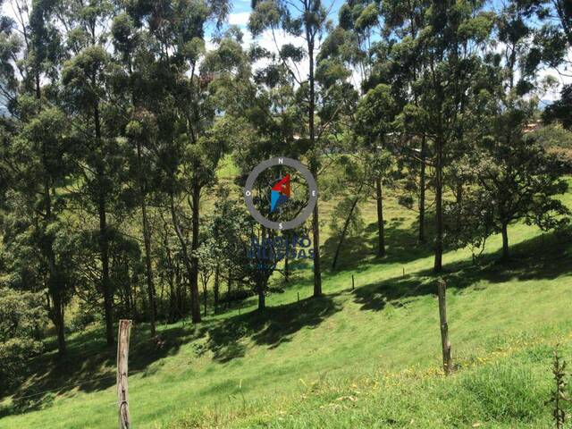 Terreno para Venta en Carmen de Viboral - 4