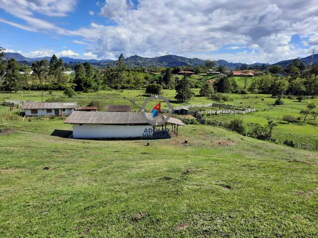 #3894 - Terreno para Venta en Rionegro - ANT - 1