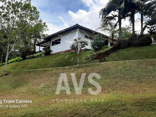 Finca para Venta en Carmen de Viboral - 5