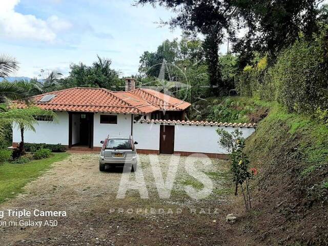 Finca para Venta en Carmen de Viboral - 4