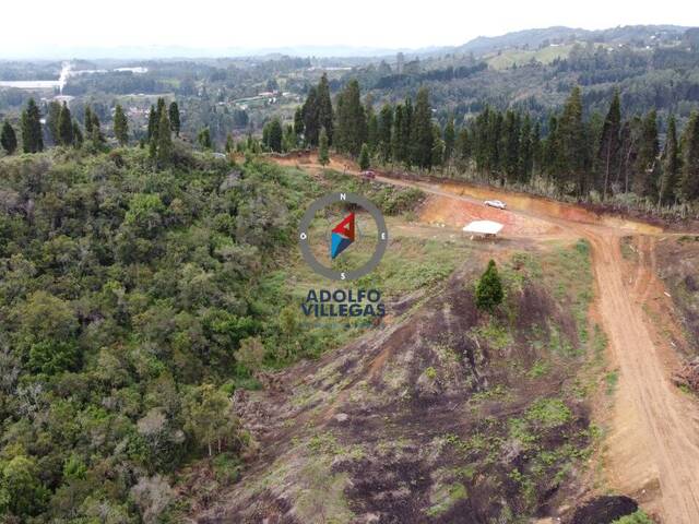 Terreno para Venta en Guarne - 5