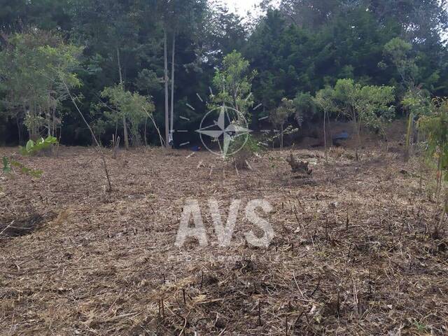 Terreno para Venta en Rionegro - 4
