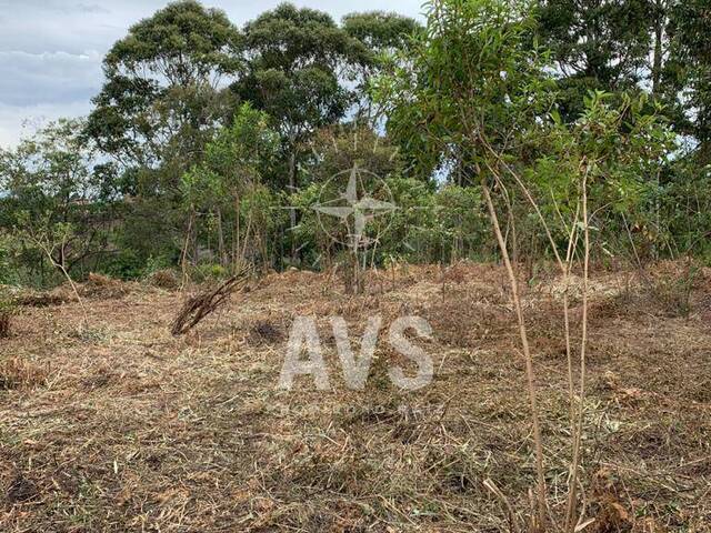 #2936 - Terreno para Venta en Rionegro - ANT - 3