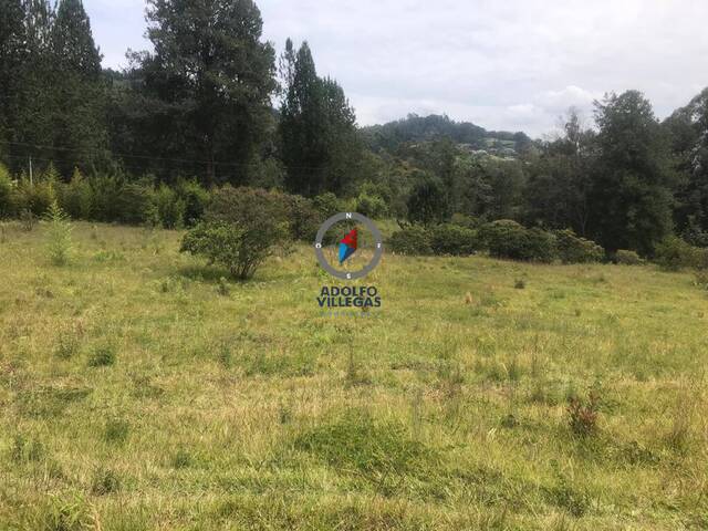 Terreno para Venta en Rionegro - 2