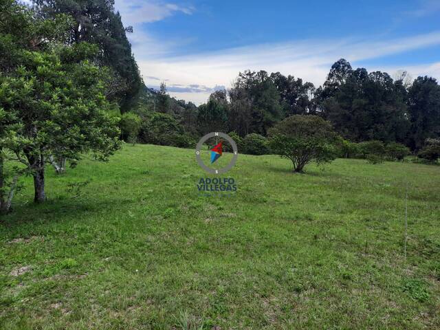 Terreno para Venta en Rionegro - 4
