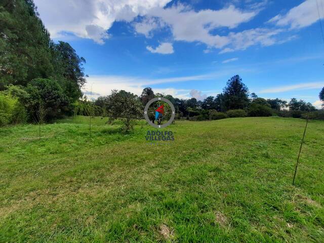 Terreno para Venta en Rionegro - 3
