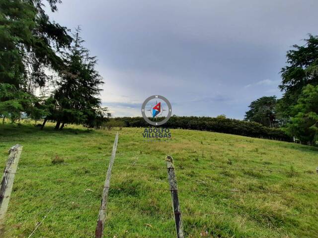 Terreno para Venta en Rionegro - 4