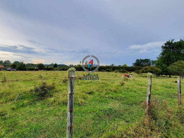 Terreno para Venta en Rionegro - 3