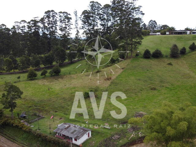 Terreno para Venta en Rionegro - 4