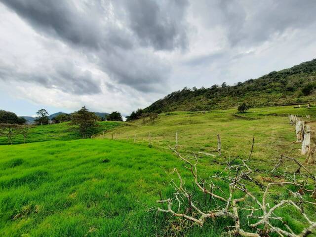 Terreno para Venta en Rionegro - 5
