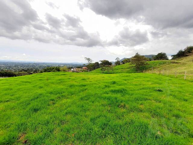 Terreno para Venta en Rionegro - 2