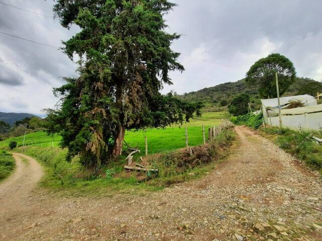 Terreno para Venta en Rionegro - 4